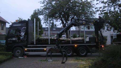 bomen rooien